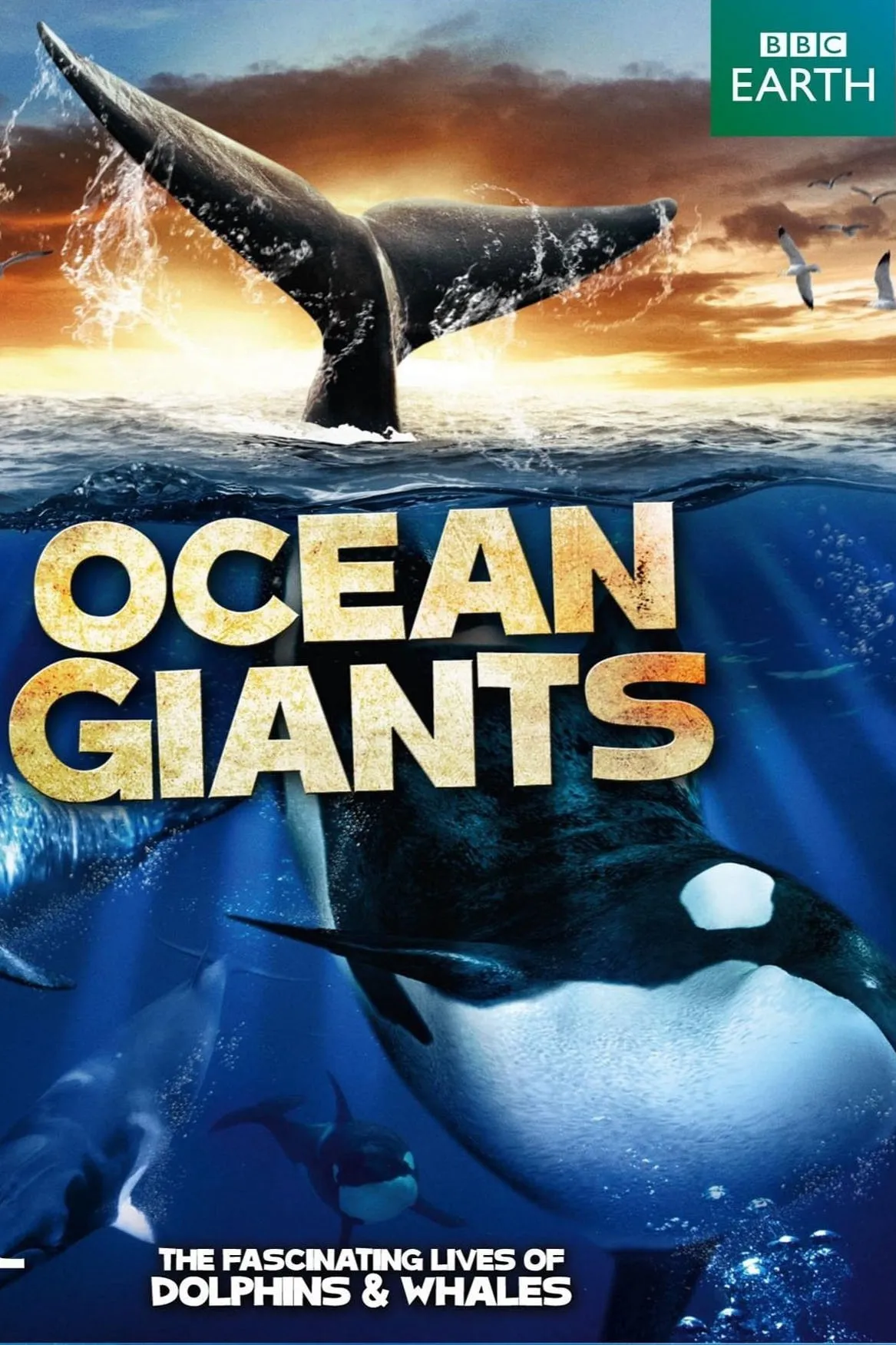 /media/13/ocean-giants-thumb.jpg