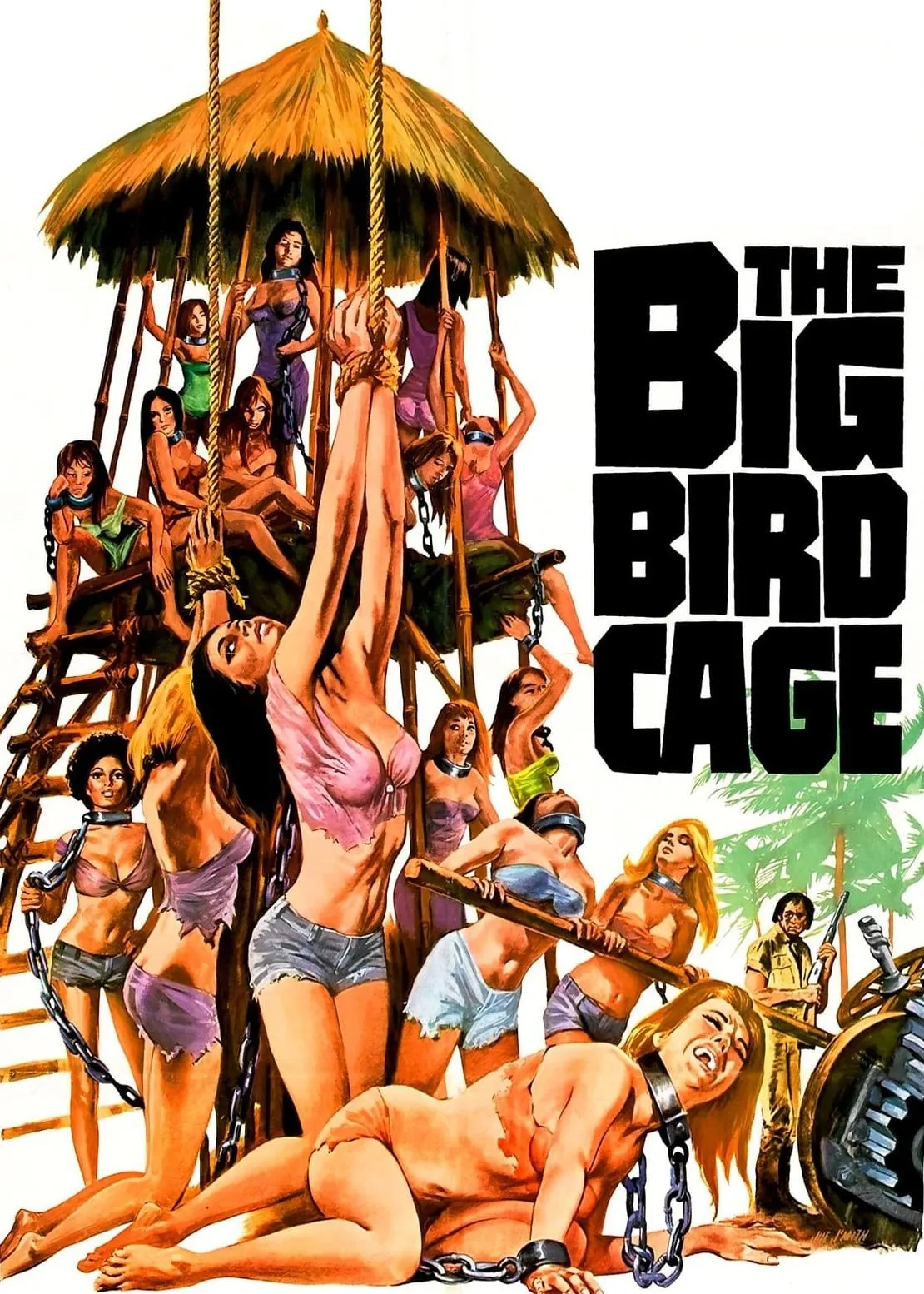 /media/13/the-big-bird-cage-thumb.jpg