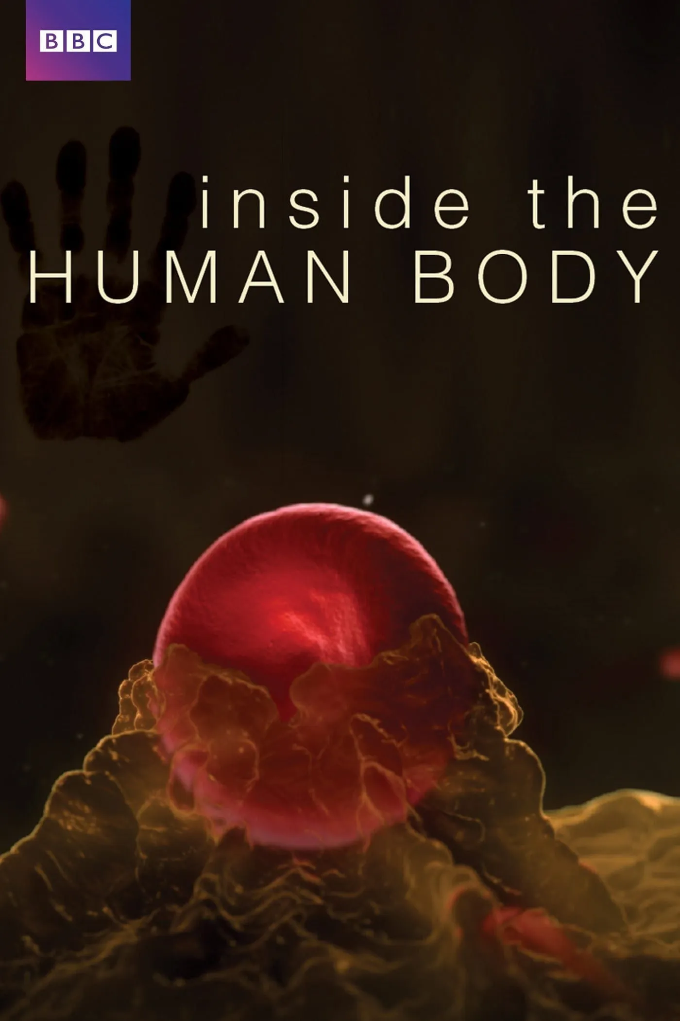 /media/14/inside-the-human-body-thumb.jpg